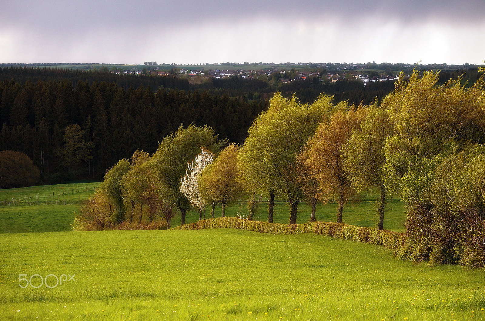 Nikon D5100 sample photo. Rain is coming photography