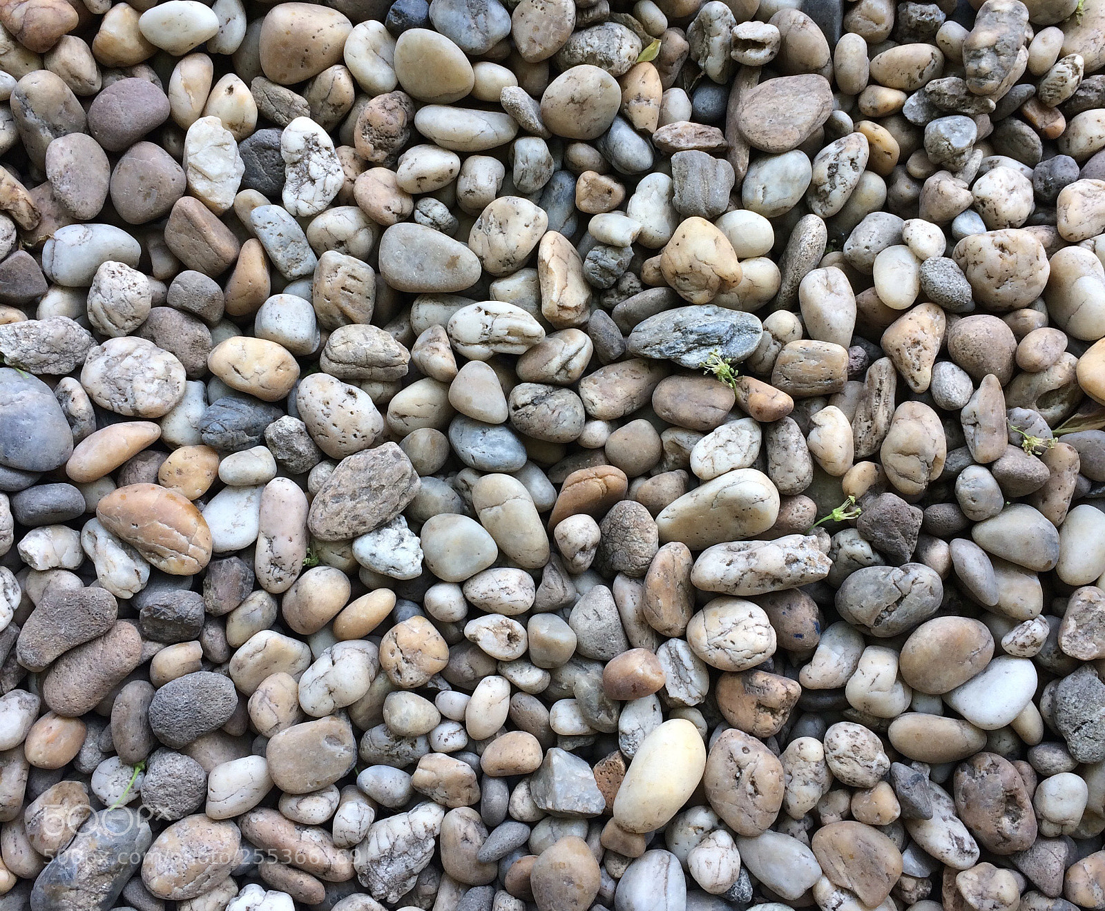 Apple iPhone 5s sample photo. Untitled photography