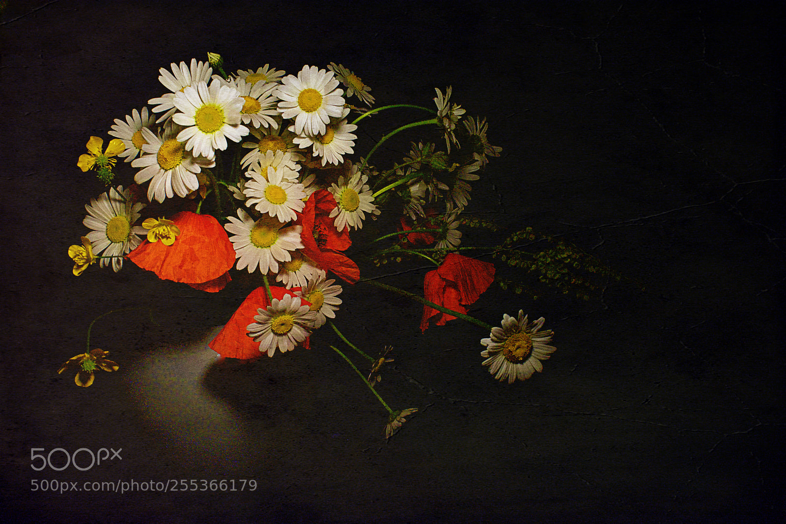Nikon D5200 sample photo. Light painting -2 photography