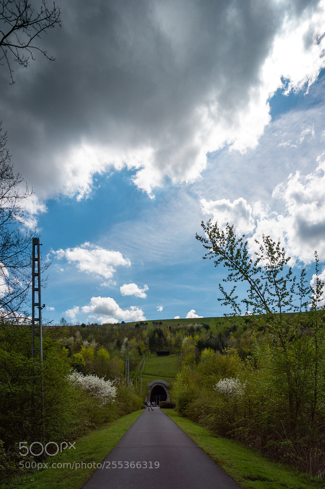 Sony a6000 sample photo. In den himmel photography