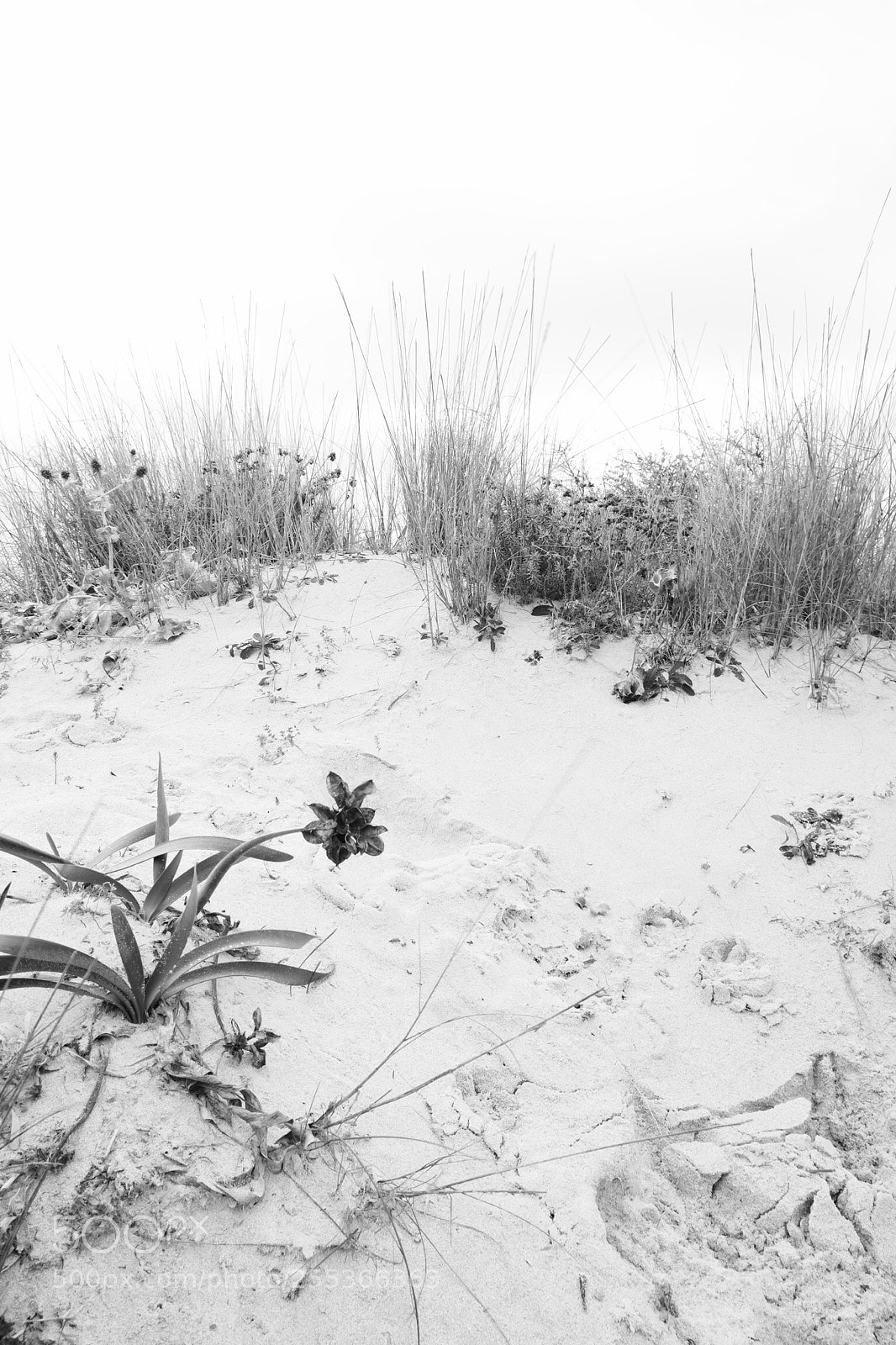 Fujifilm X-T1 sample photo. Untitled photography
