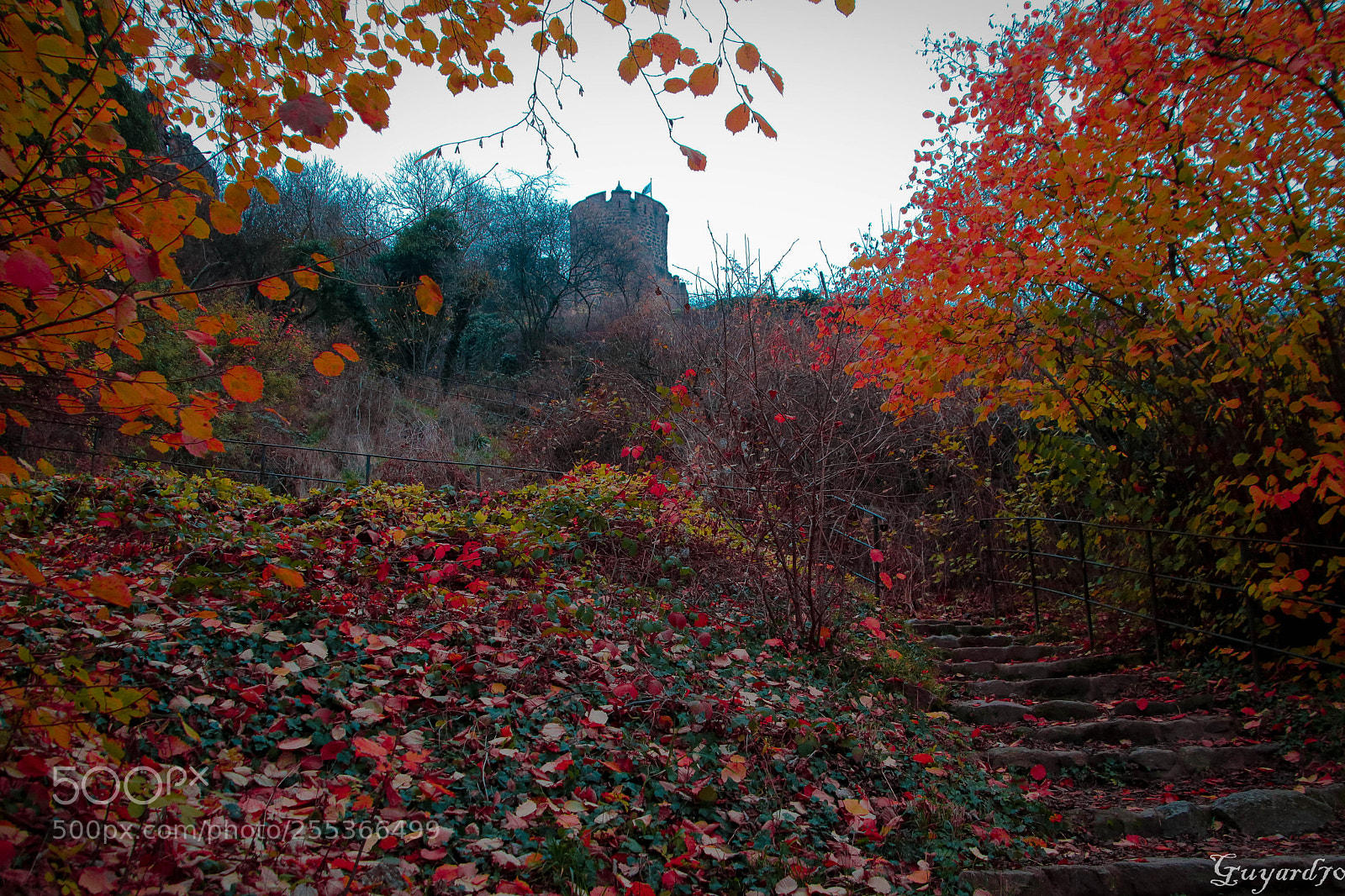 Canon EOS 80D sample photo. Kaysersberg alsace photography