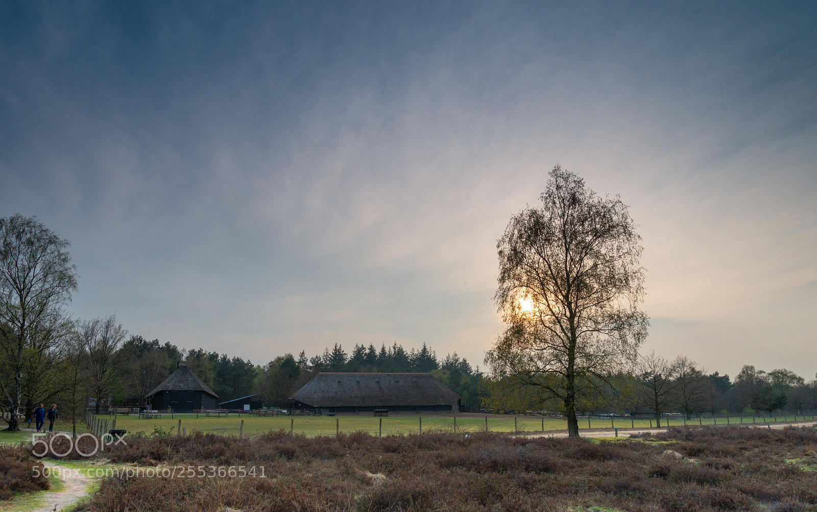 Nikon D610 sample photo. Sunset at drie photography