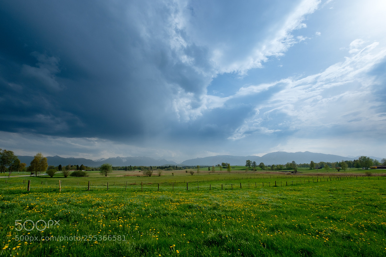 Fujifilm X-T2 sample photo. To rain or not photography