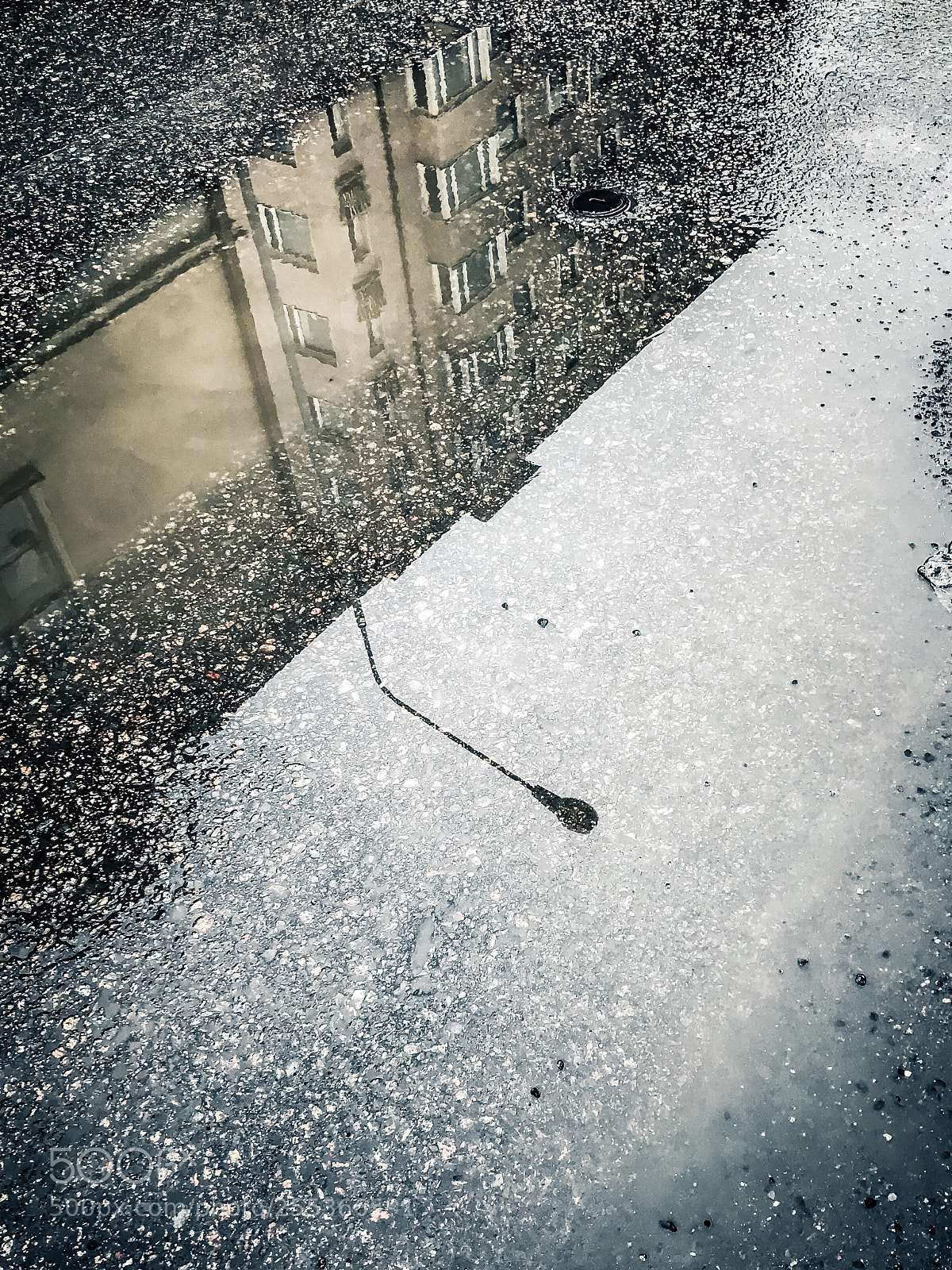 Apple iPhone 7 sample photo. 100/365: puddle photography
