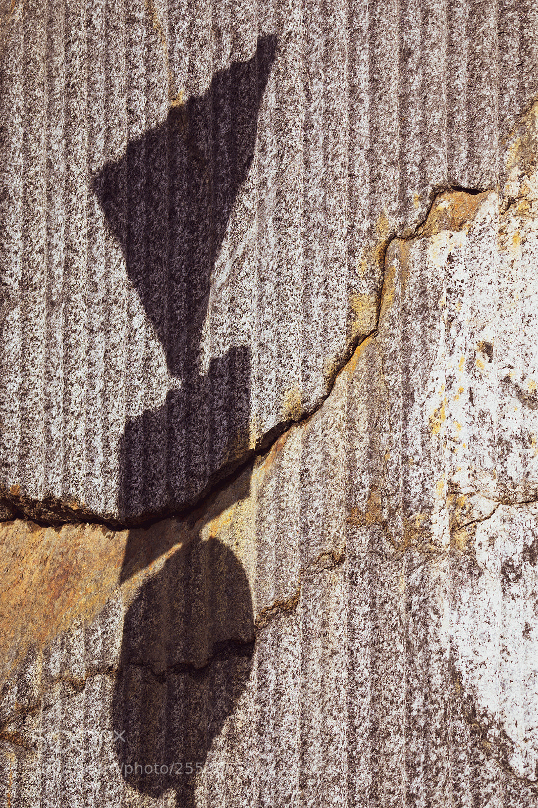 Sony a7 II sample photo. 101/365: shadow photography