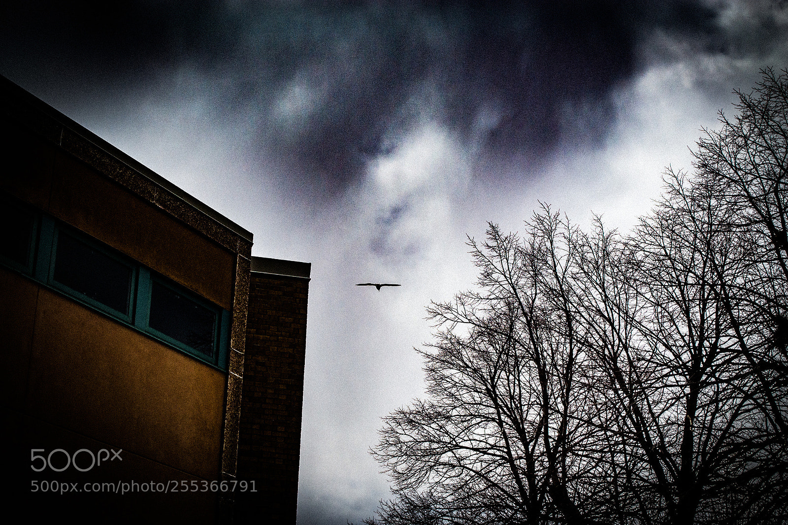 Nikon D3100 sample photo. Scary sky photography