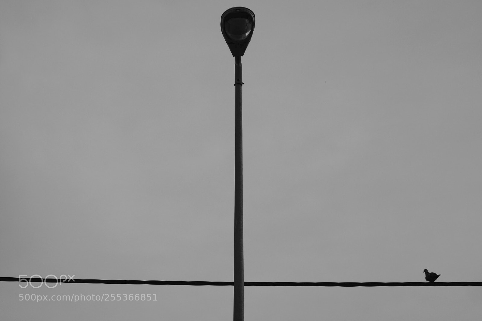 Fujifilm X-T1 sample photo. Untitled photography