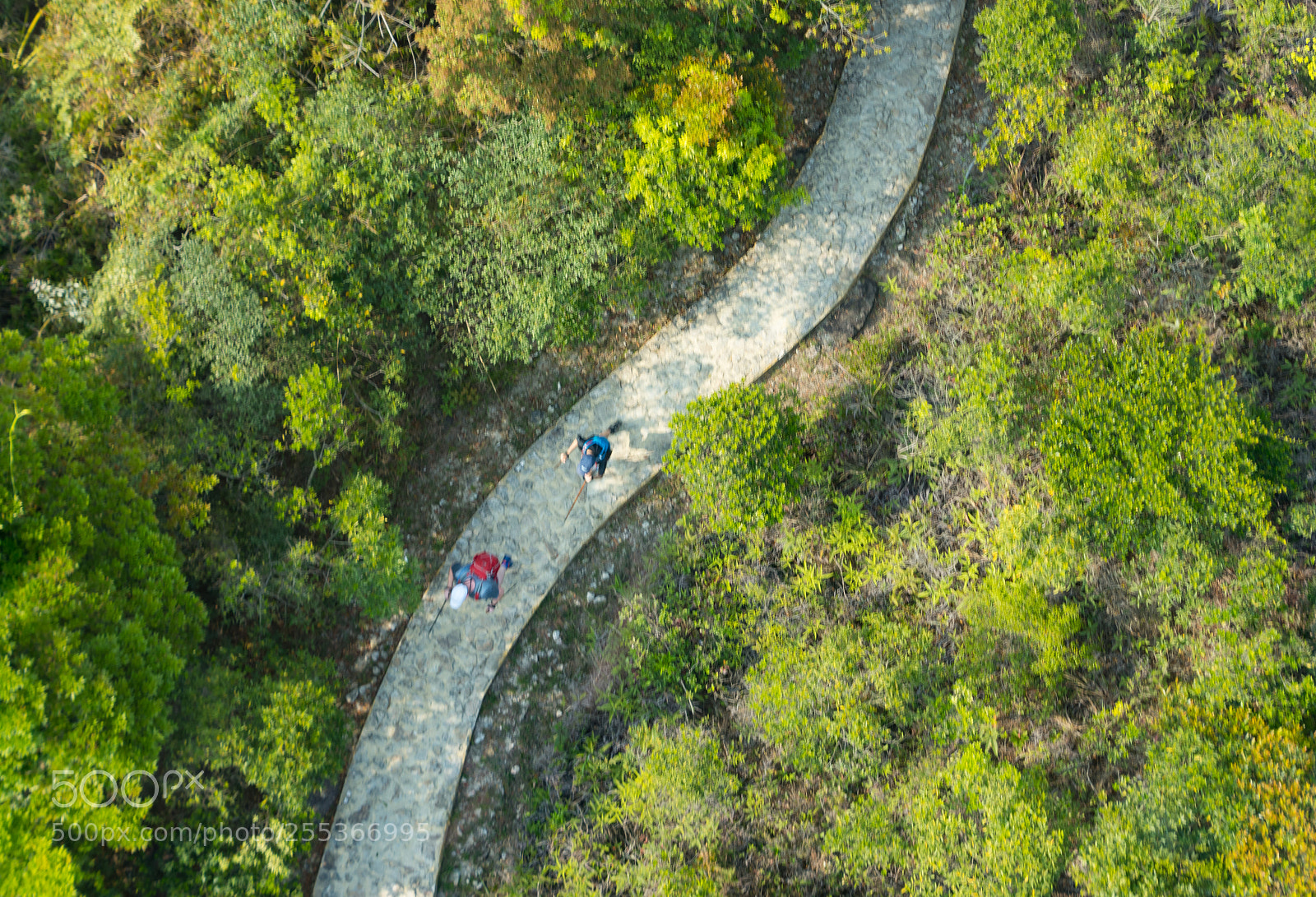 Nikon D7200 sample photo. Ngong ping, 昂坪, lantau island photography