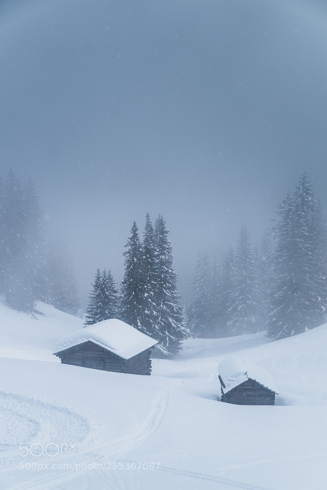 Fujifilm X-E1 sample photo. Blizzard photography