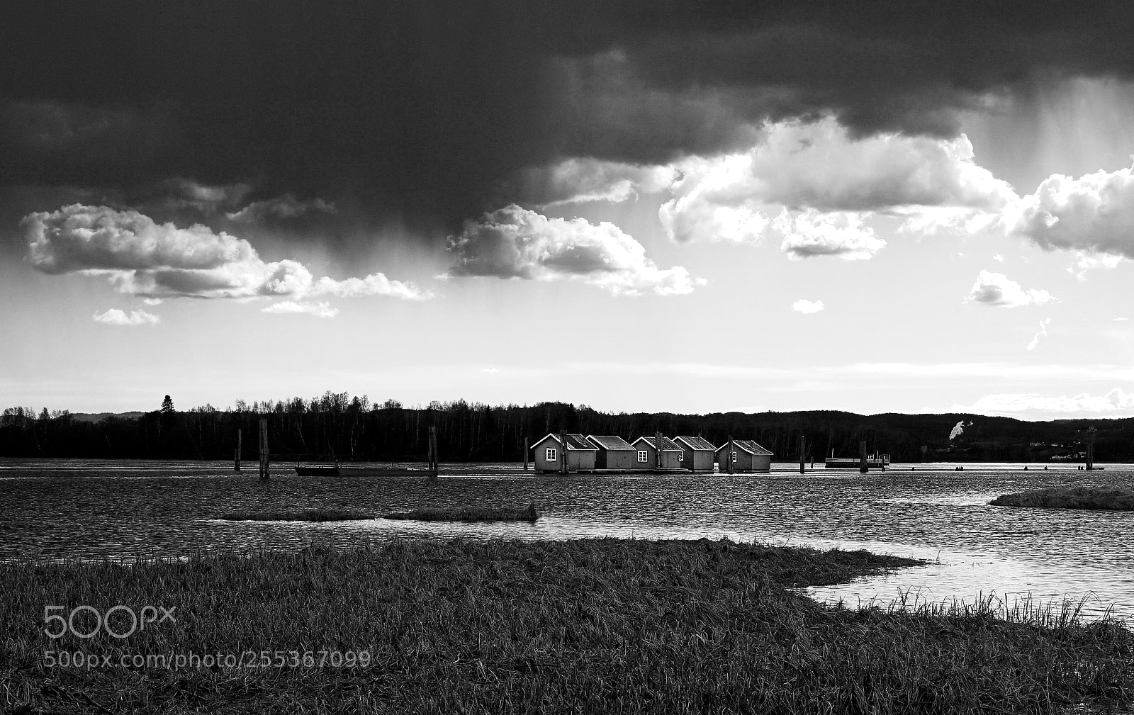 Sony a7 II sample photo. Dark photography