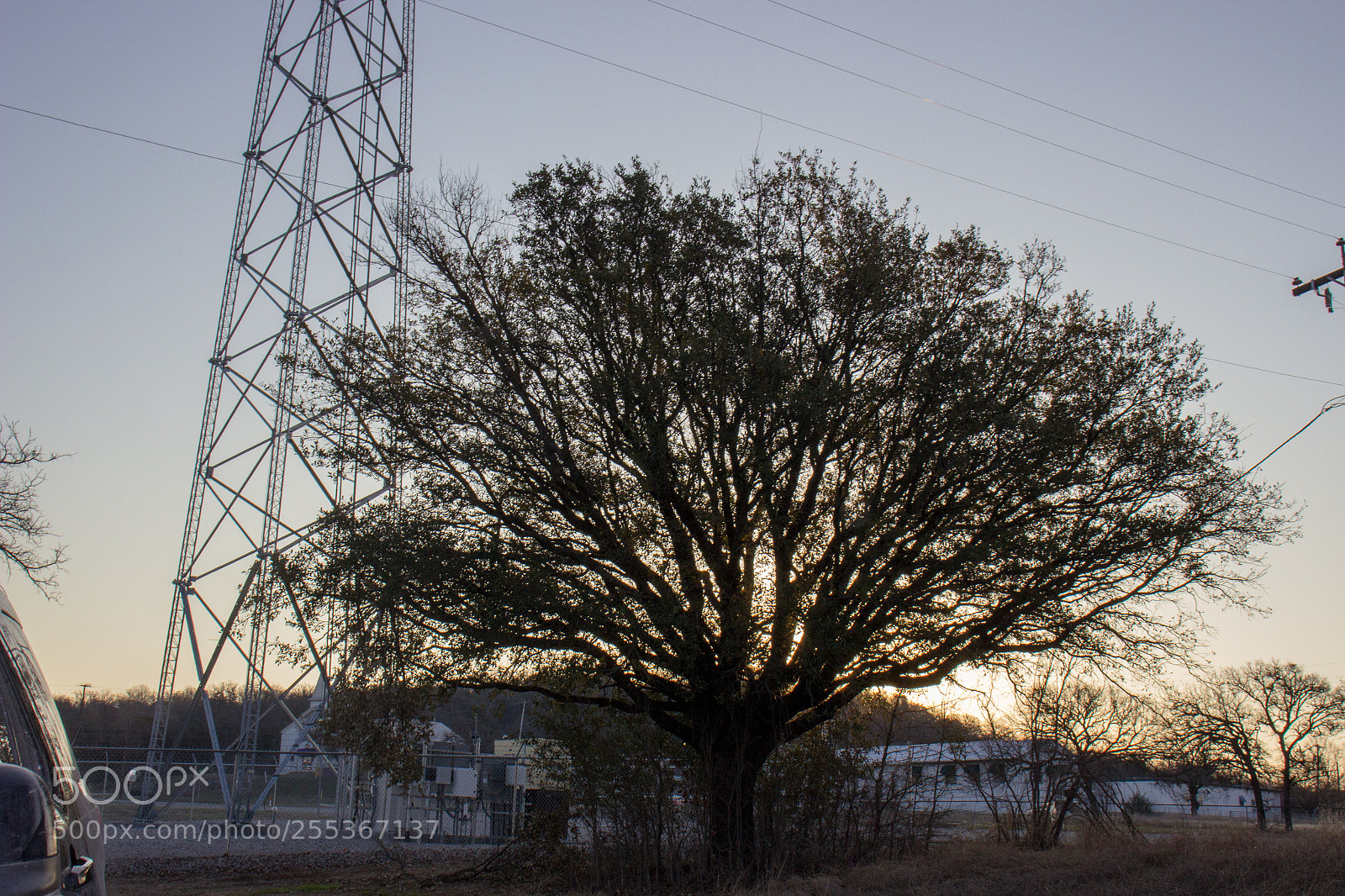 Canon EOS 600D (Rebel EOS T3i / EOS Kiss X5) sample photo. Img photography