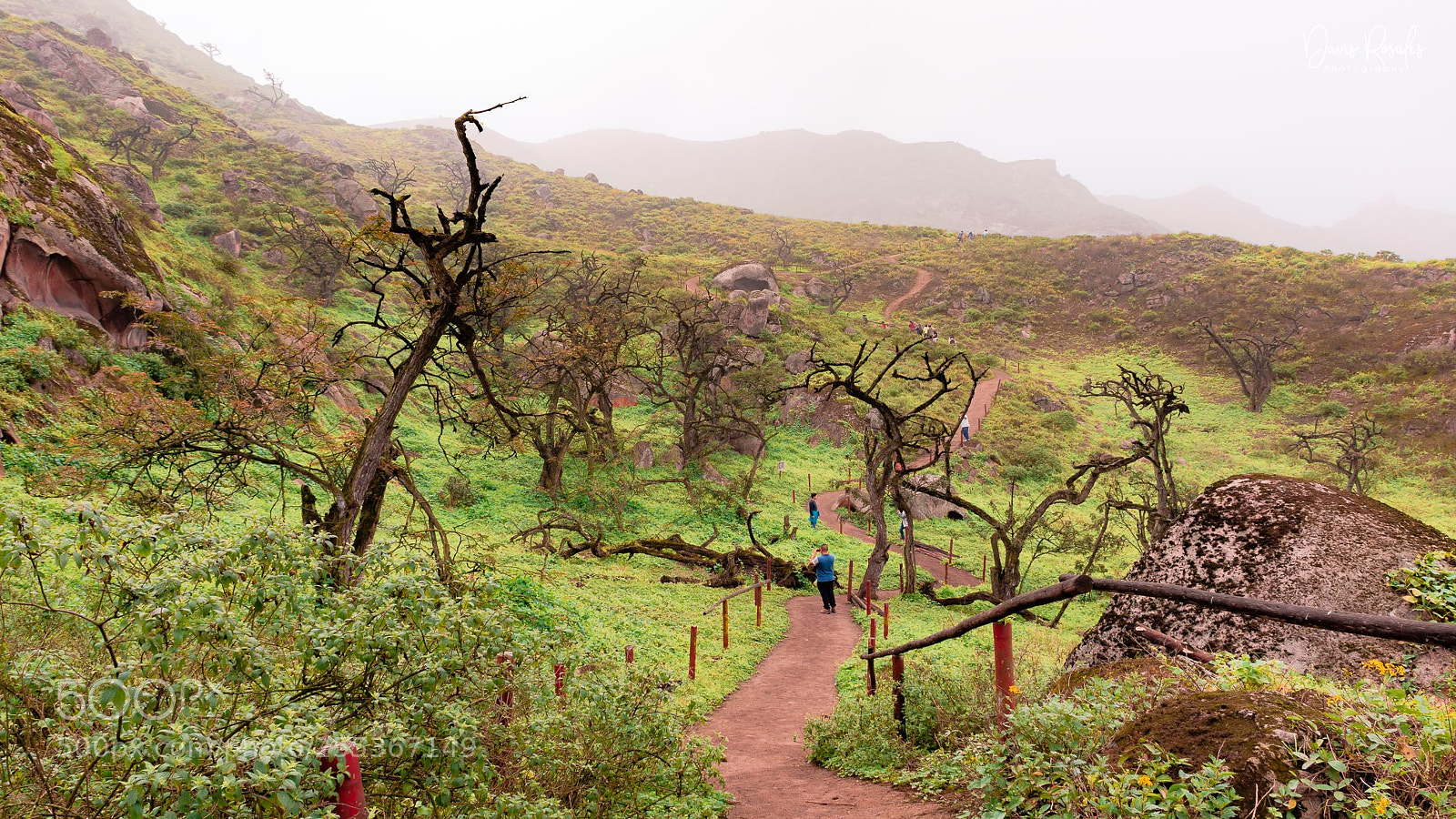Nikon D7200 sample photo. Lomas de lachay photography