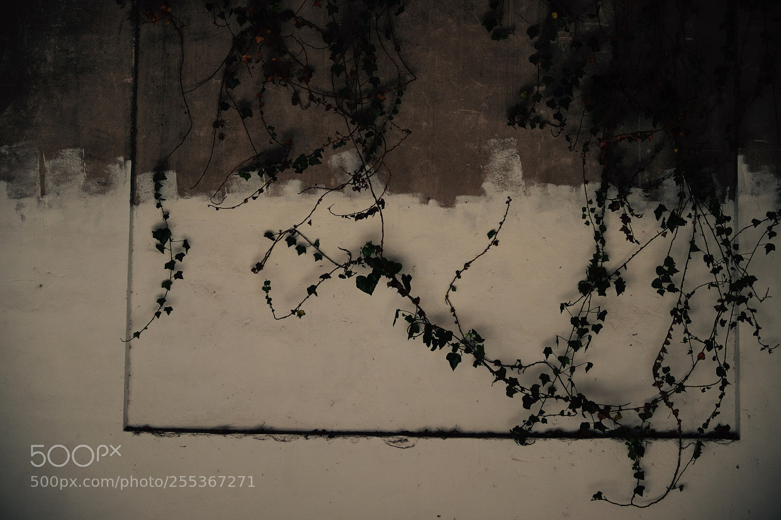Fujifilm X-T1 sample photo. Untitled photography