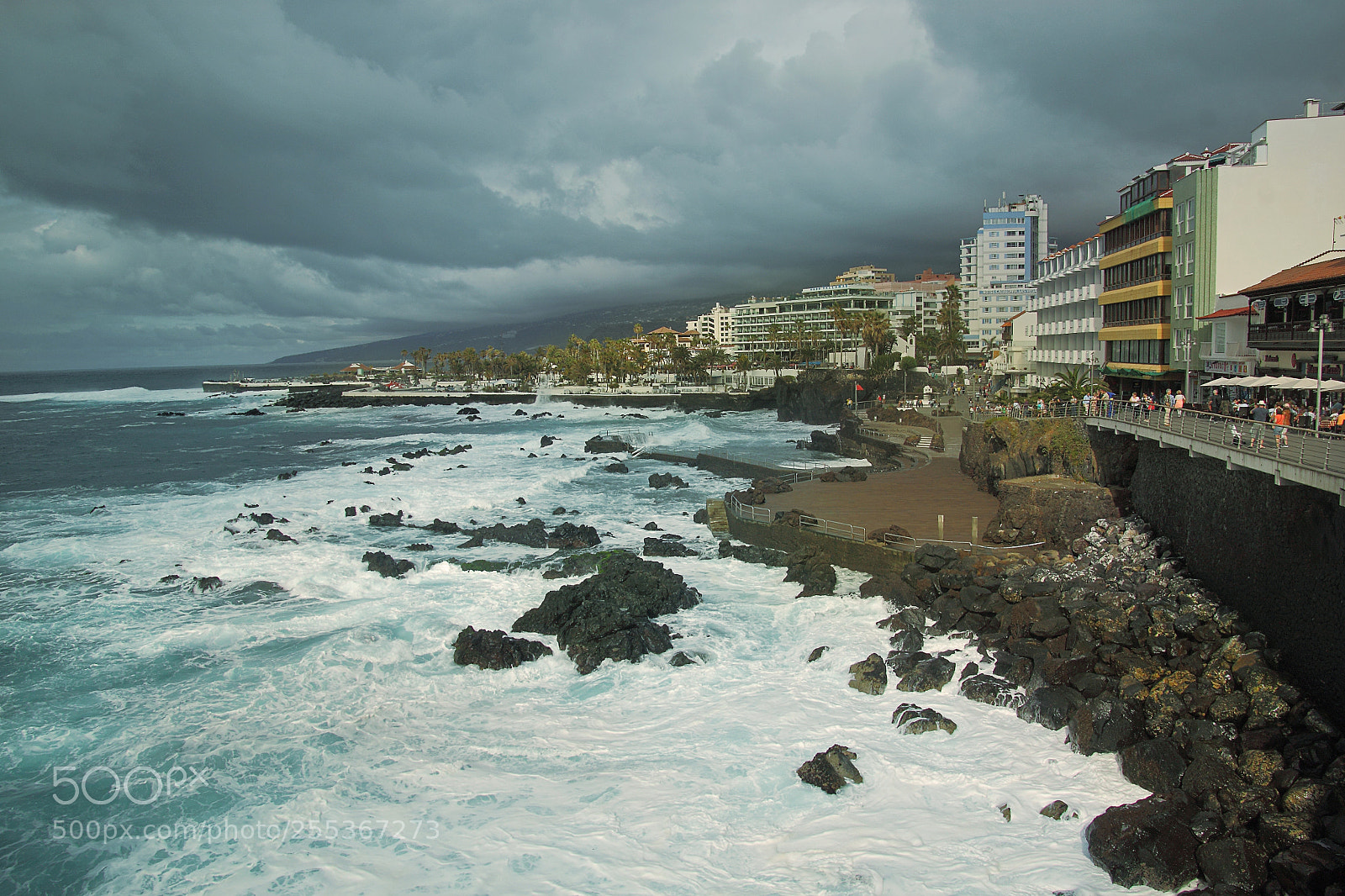 Canon EOS 500D (EOS Rebel T1i / EOS Kiss X3) sample photo. Puerto de la cruz photography