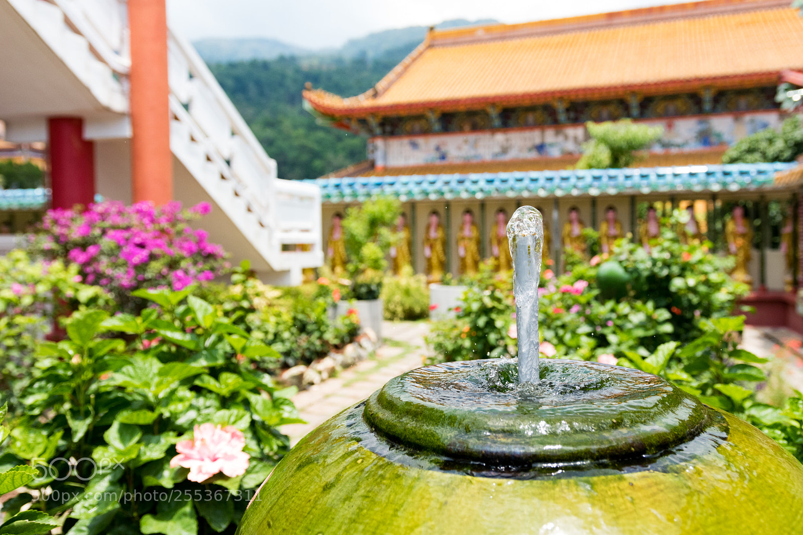 Nikon D5500 sample photo. Fountain of flowers photography