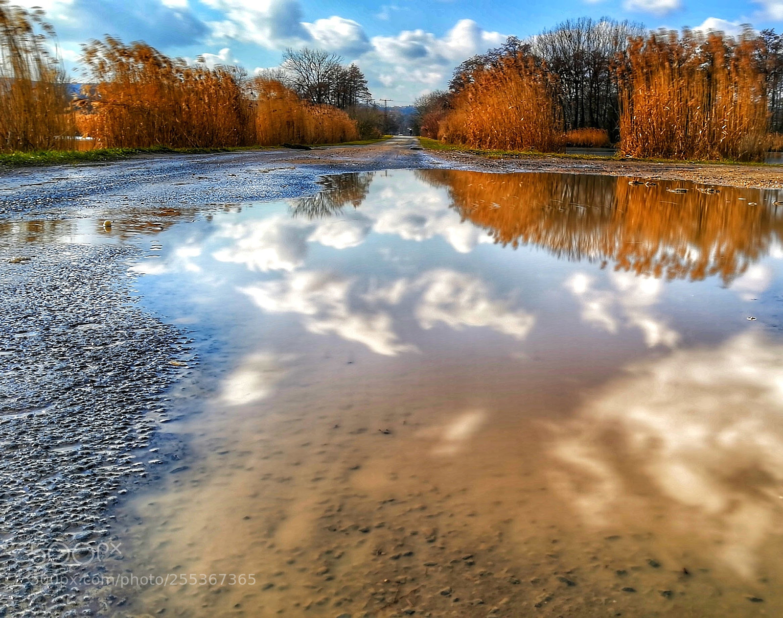HUAWEI PRA-LX1 sample photo. Puddle world photography