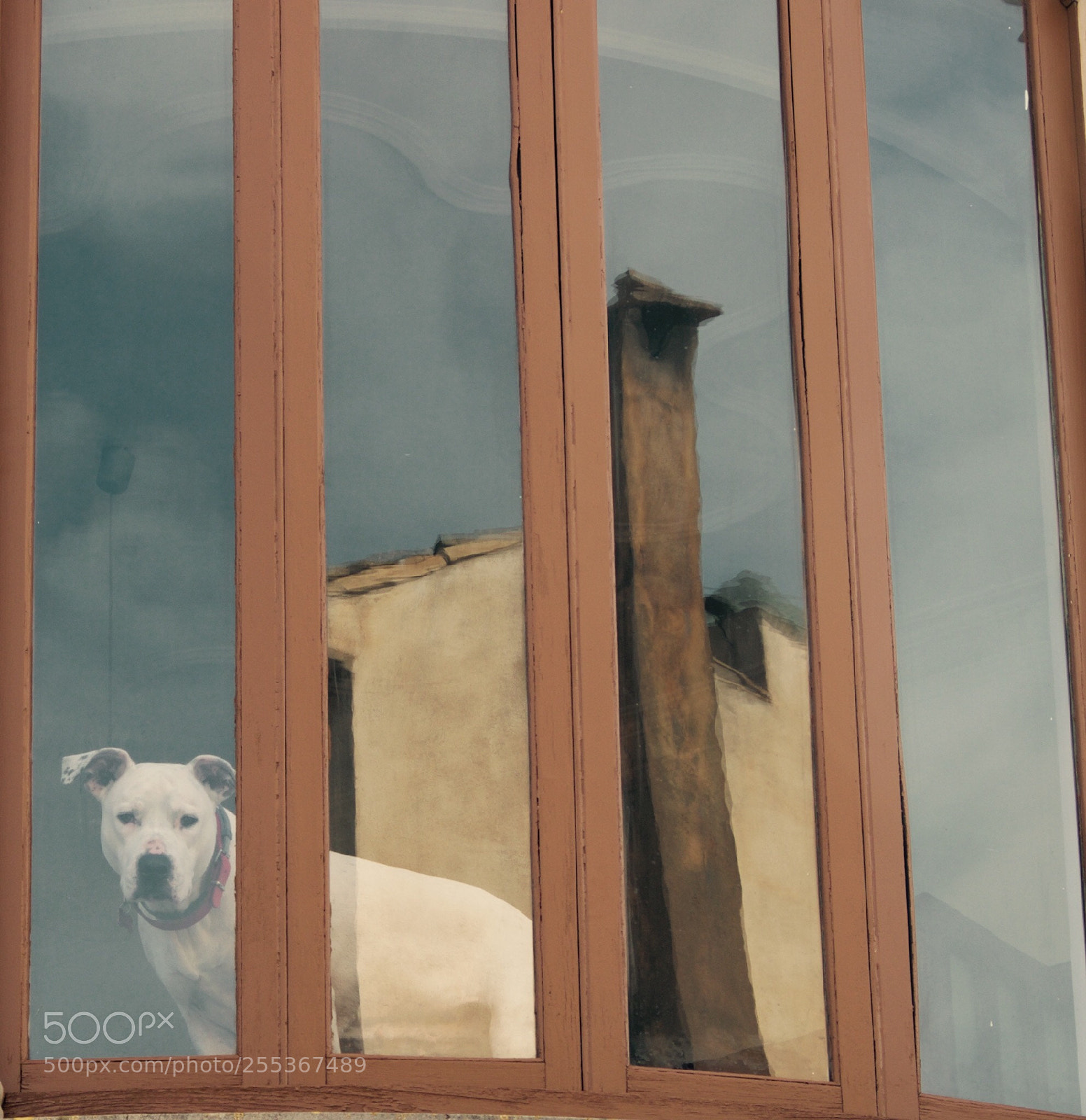 Fujifilm X-T1 sample photo. Untitled photography