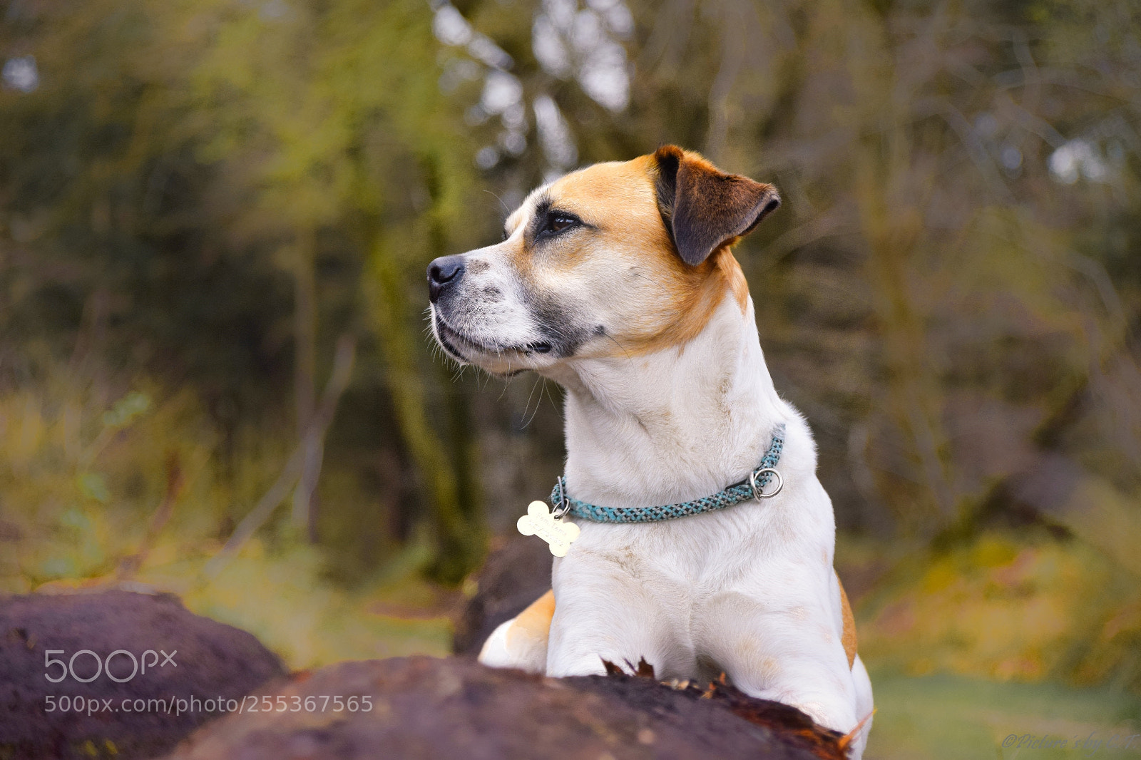 Nikon D3300 sample photo. Gib dem menschen einen photography