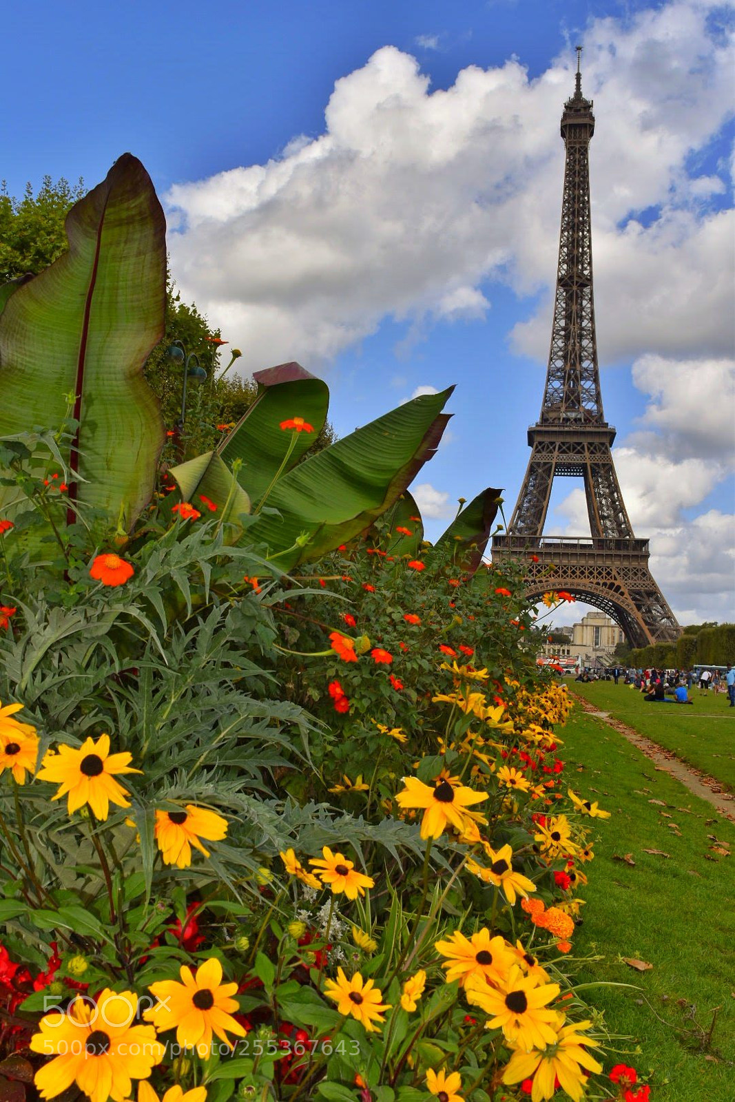 Nikon D5500 sample photo. Simplemente paris photography