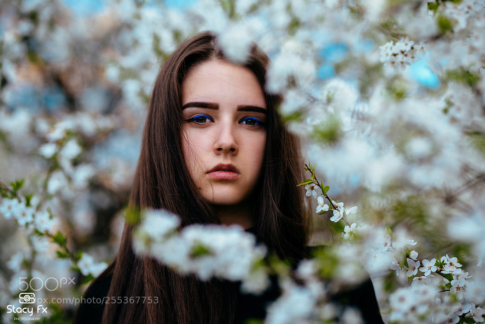 Nikon D800 sample photo. Blosssom eyes photography
