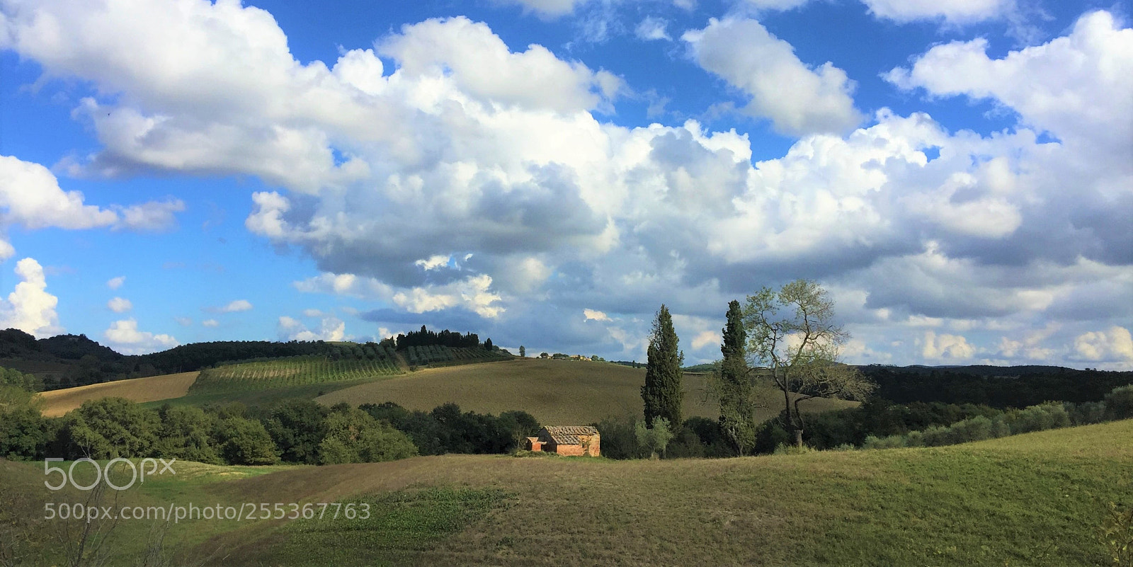 Apple iPhone 6 Plus sample photo. Italian fields photography