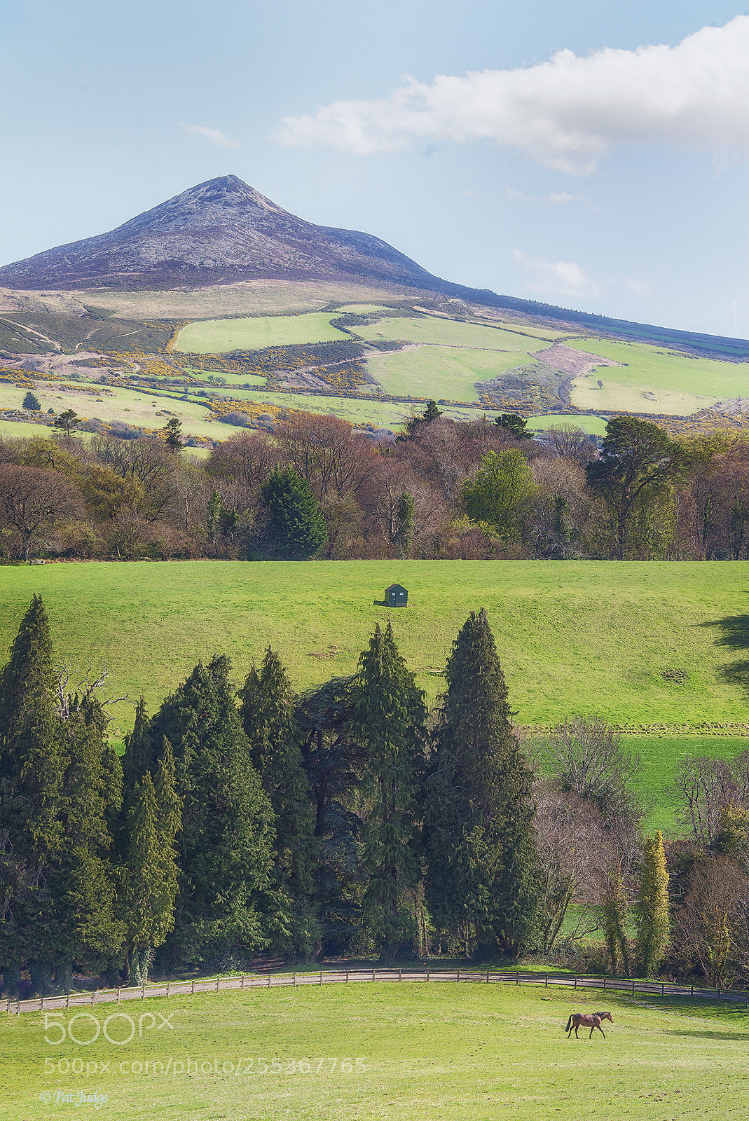 Nikon D610 sample photo. A view of the photography