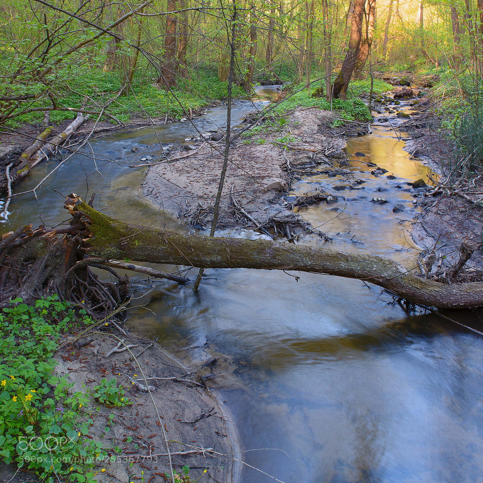 Nikon D7100 sample photo. Spring river photography