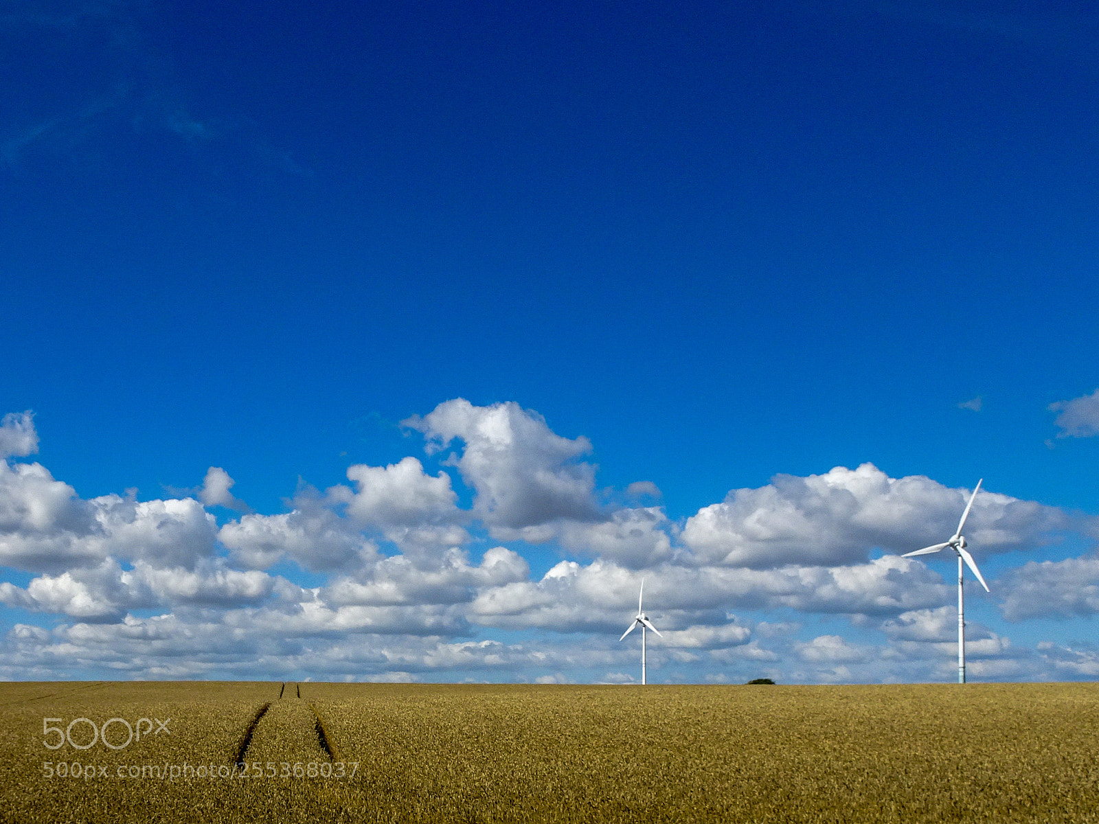 Sony Cyber-shot DSC-HX90V sample photo. Wheat field and windmills photography