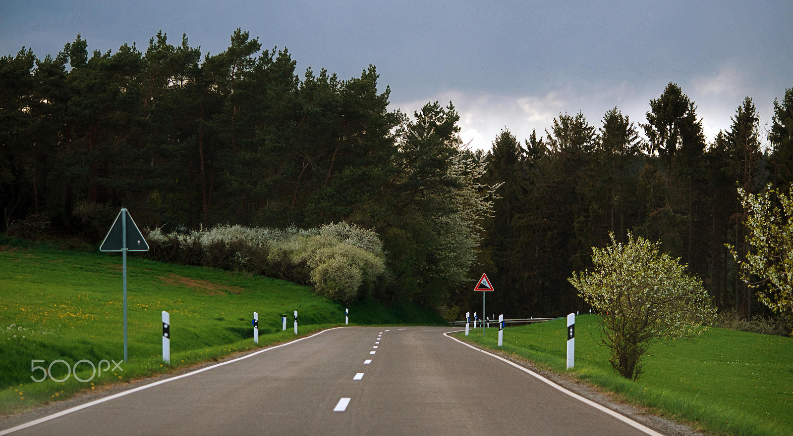 Nikon D5100 sample photo. Downhill photography
