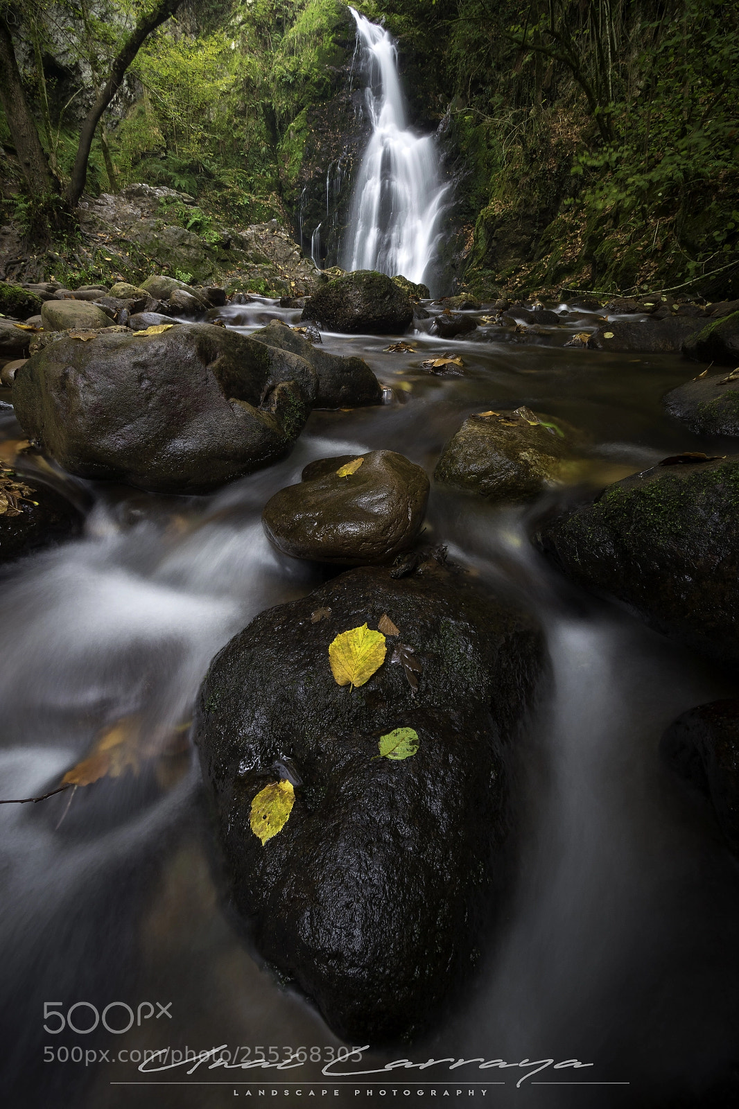 Canon EOS 7D Mark II sample photo. Una de las maravillas photography