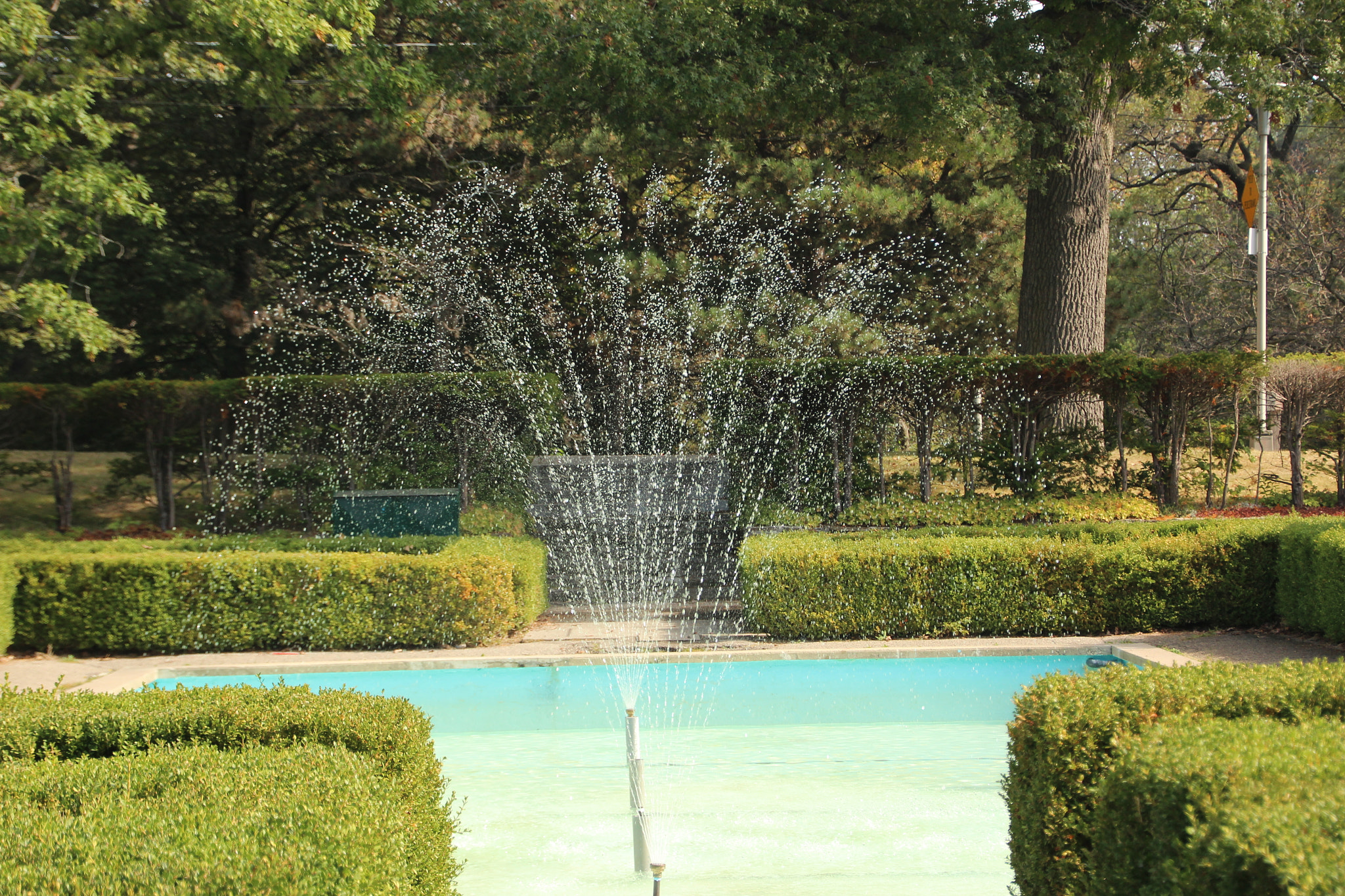 Canon EOS 600D (Rebel EOS T3i / EOS Kiss X5) sample photo. Img photography