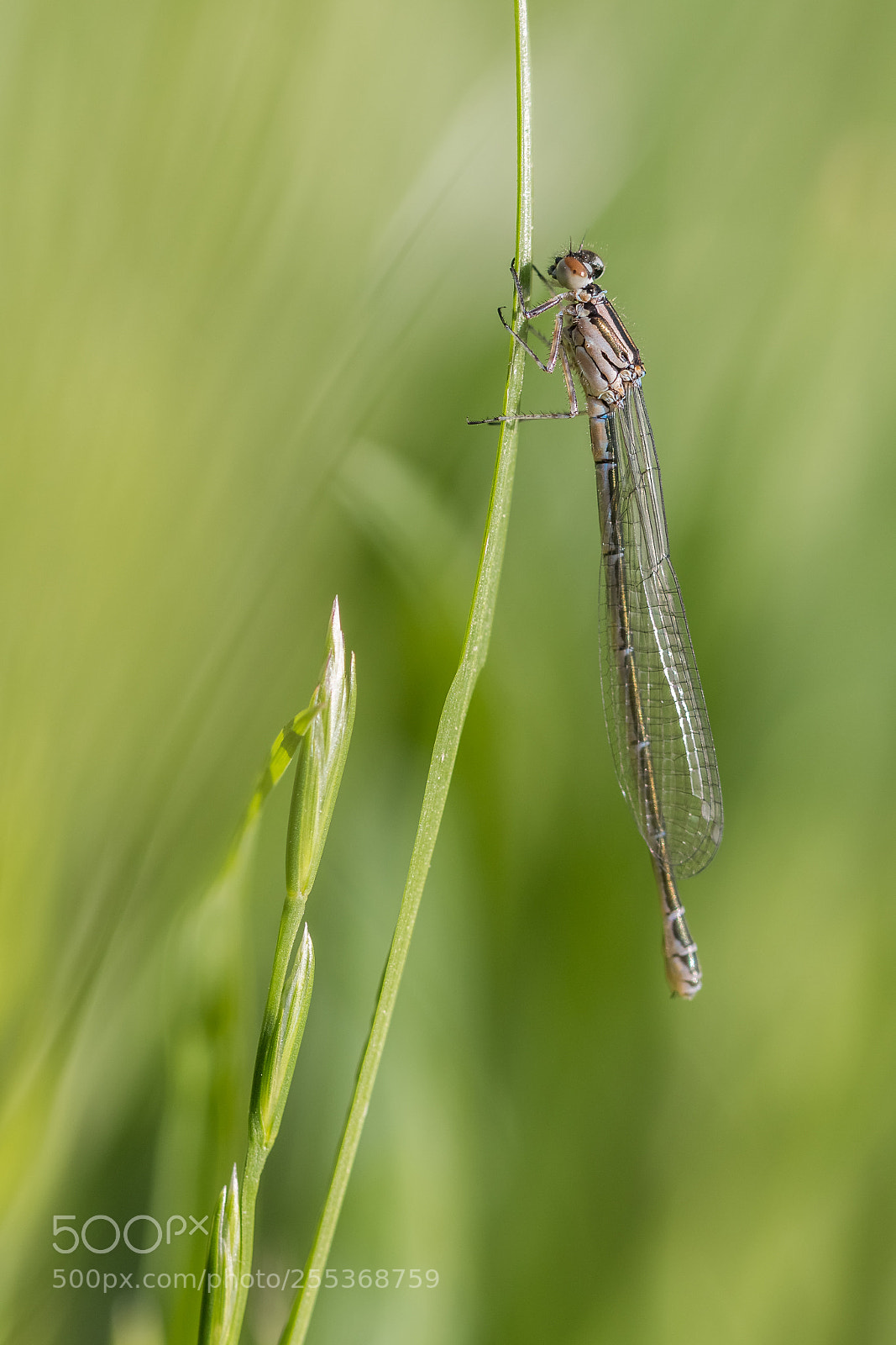 Canon EOS 70D sample photo. Untitled photography