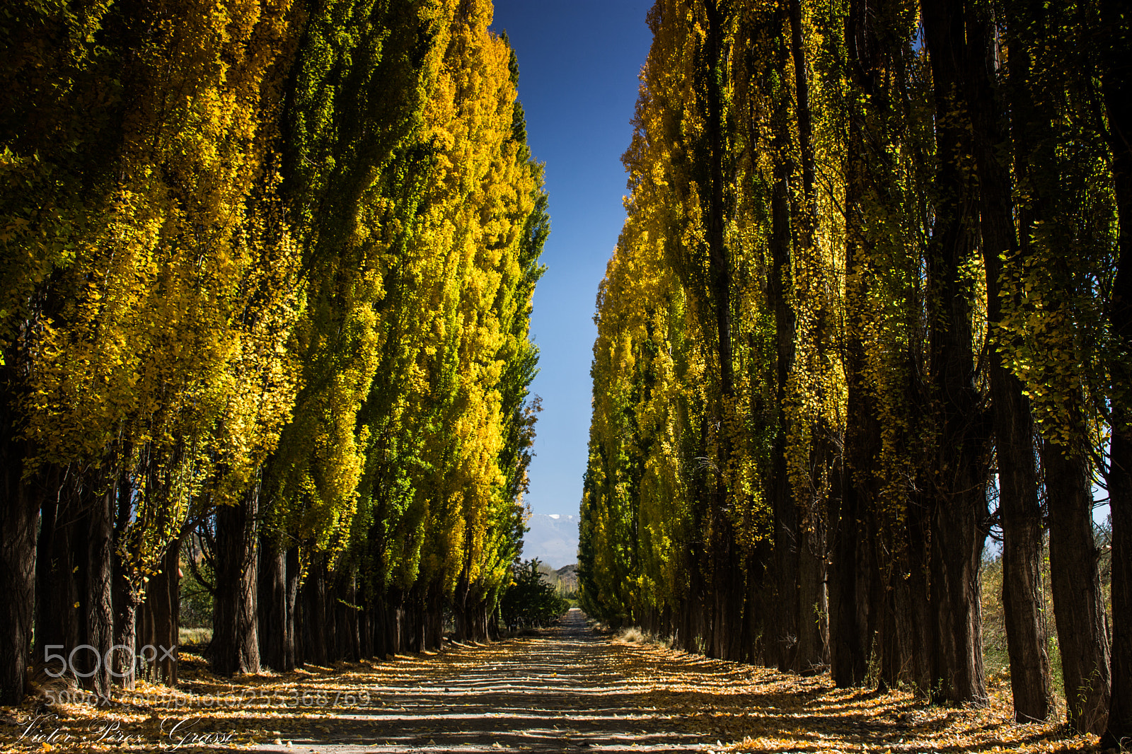 Nikon D7200 sample photo. Atamisque photography
