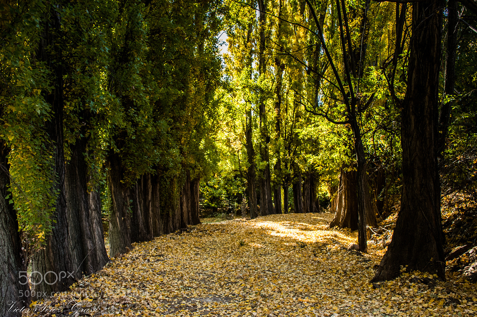 Nikon D7200 sample photo. Atamisque photography