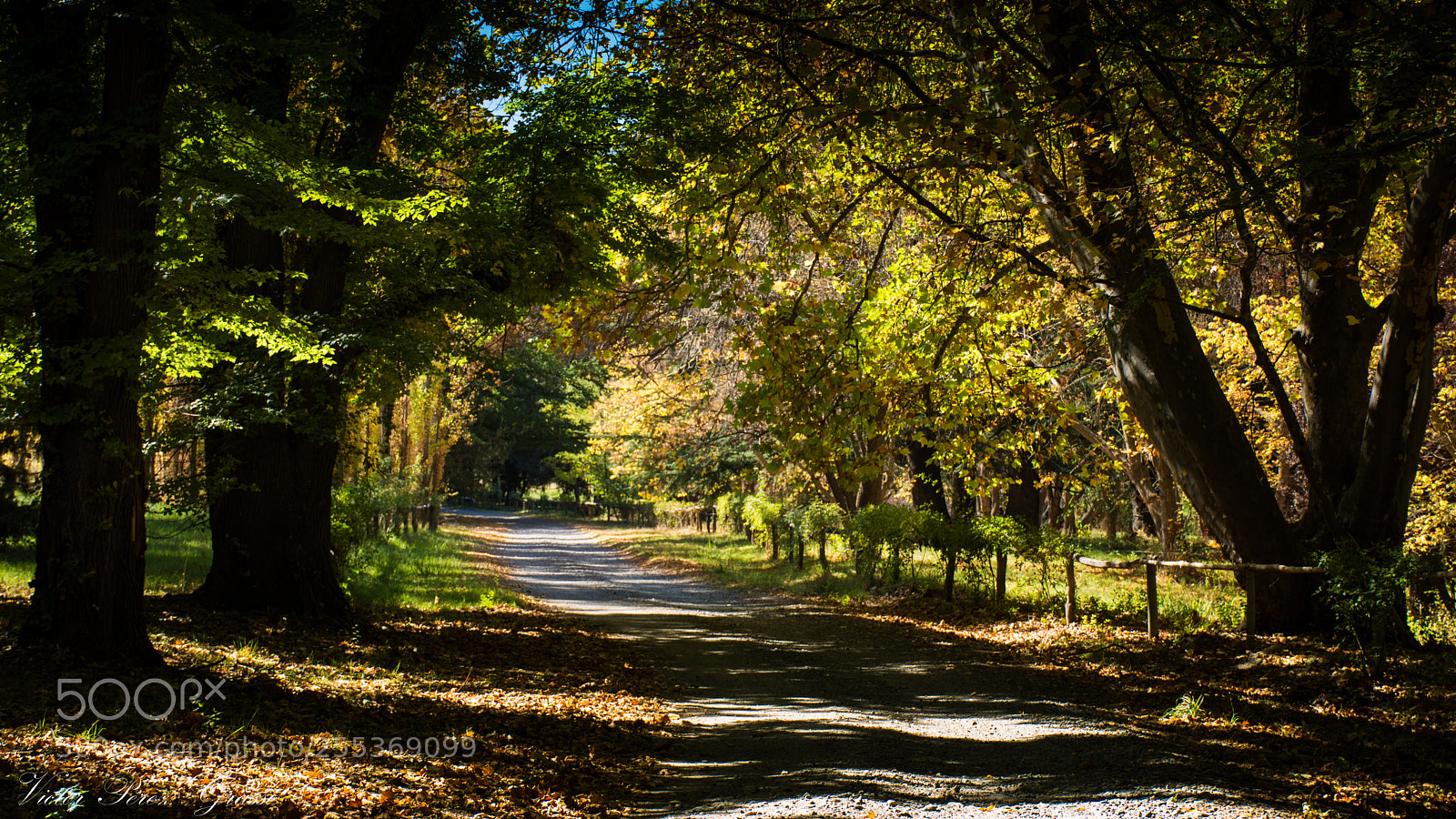 Nikon D7200 sample photo. Atamisque photography