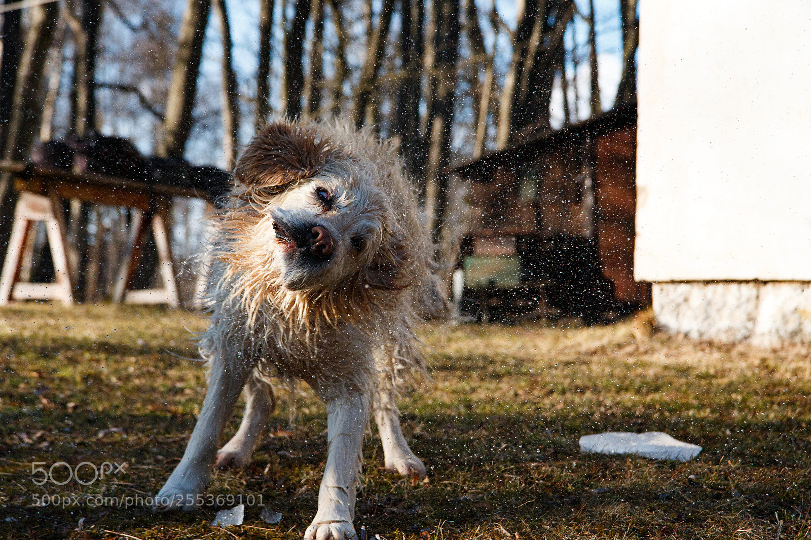 Canon EOS 70D sample photo. Amalka photography