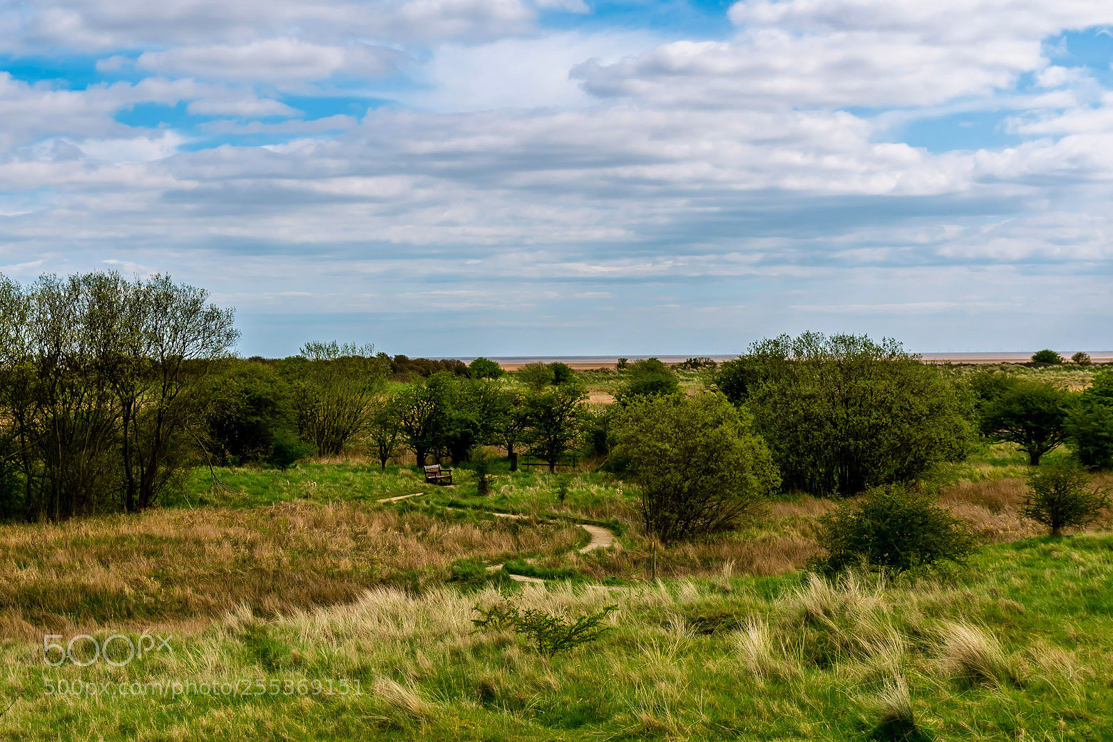 Nikon D500 sample photo. Donna nook nature reserve photography