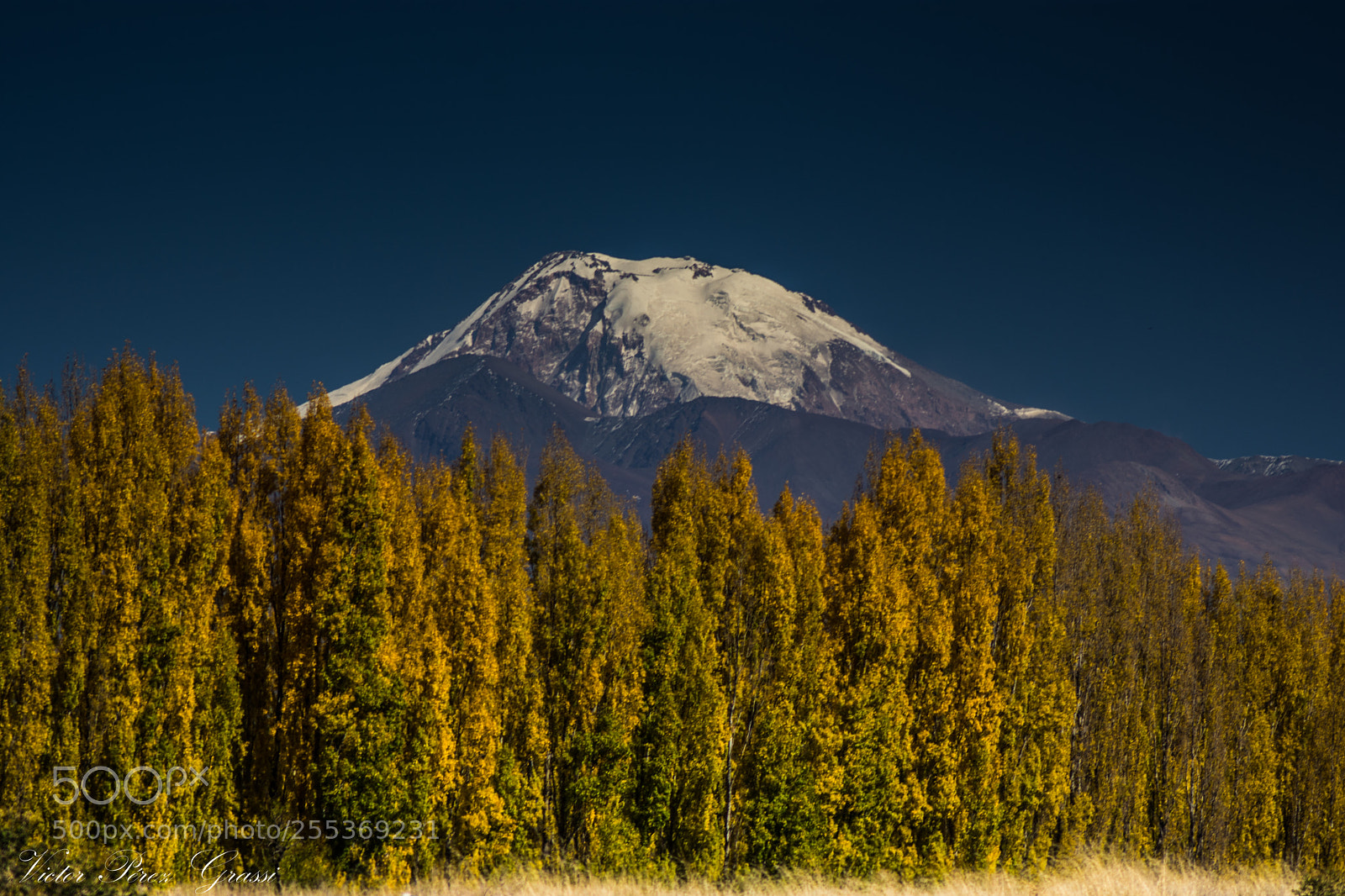 Nikon D7200 sample photo. Atamisque photography
