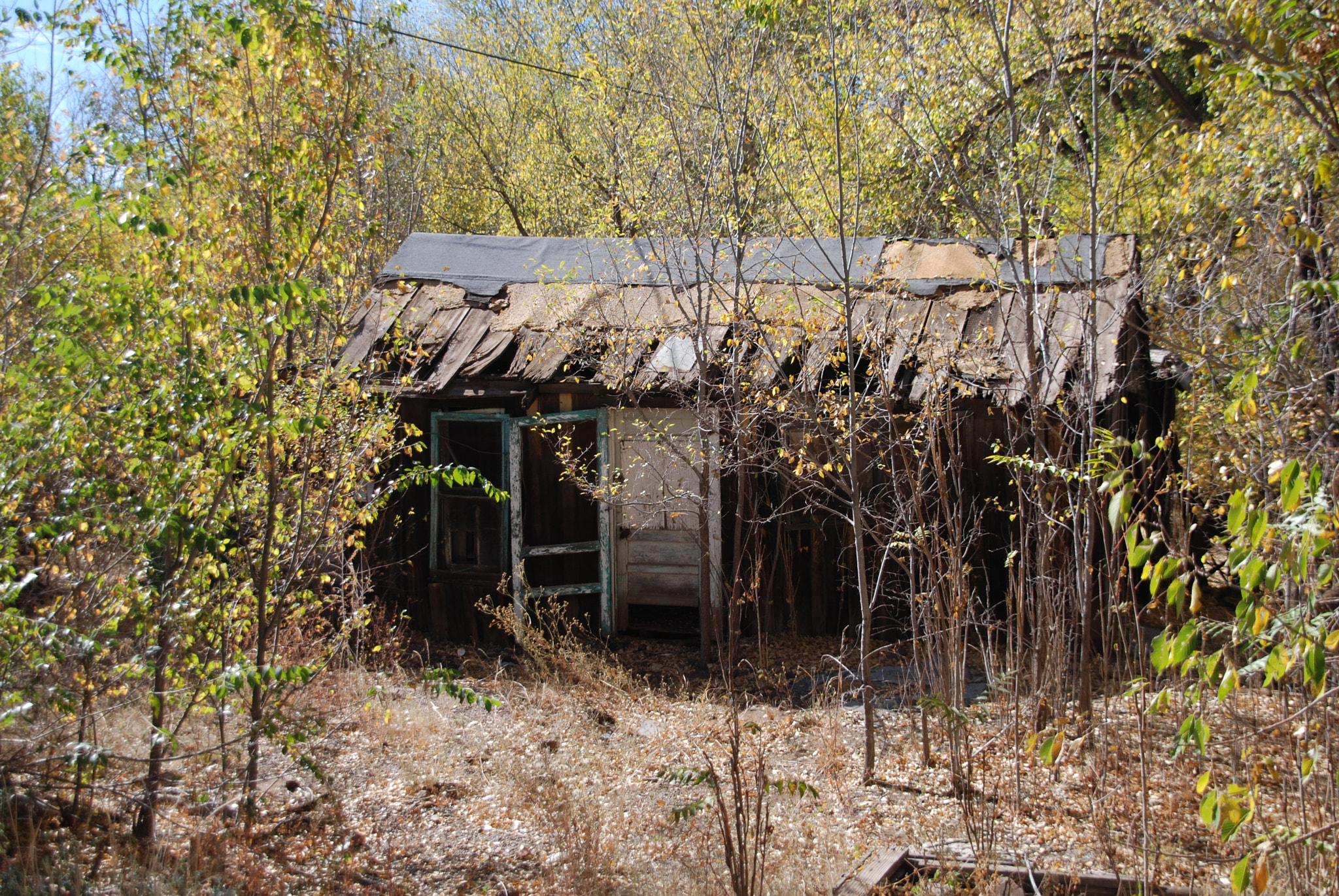 Sigma 18-200mm F3.5-6.3 DC sample photo. The homestead photography
