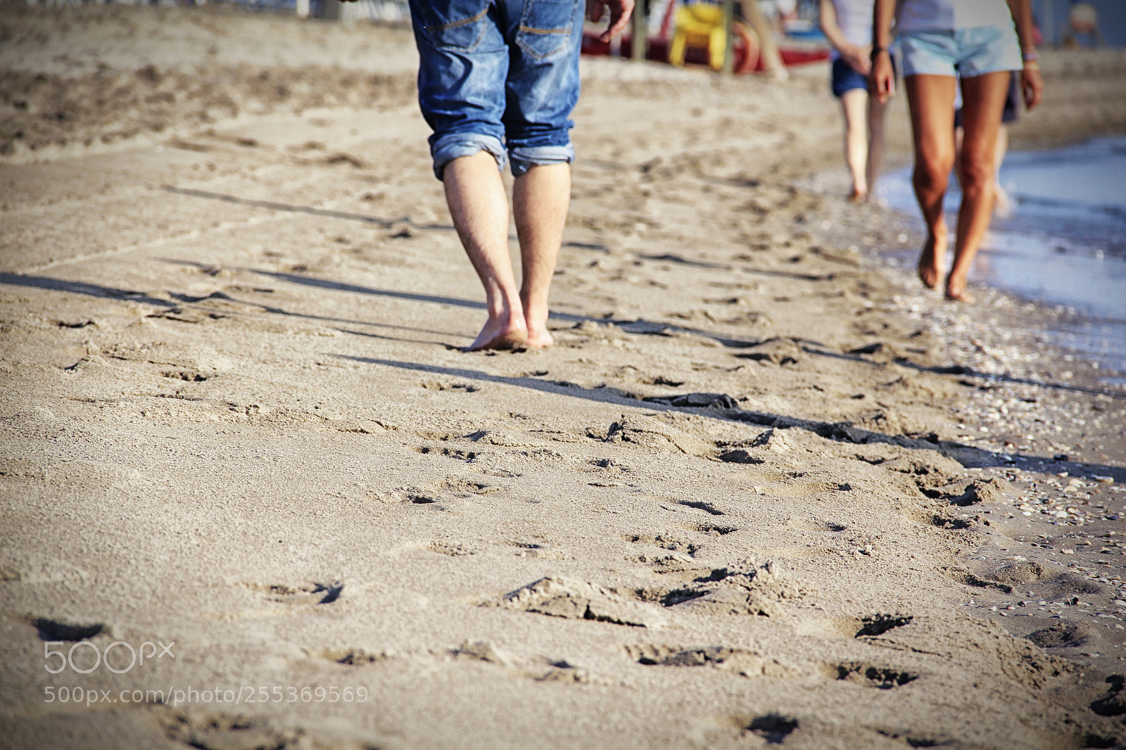Canon EOS 60D sample photo. A sunny walk into photography