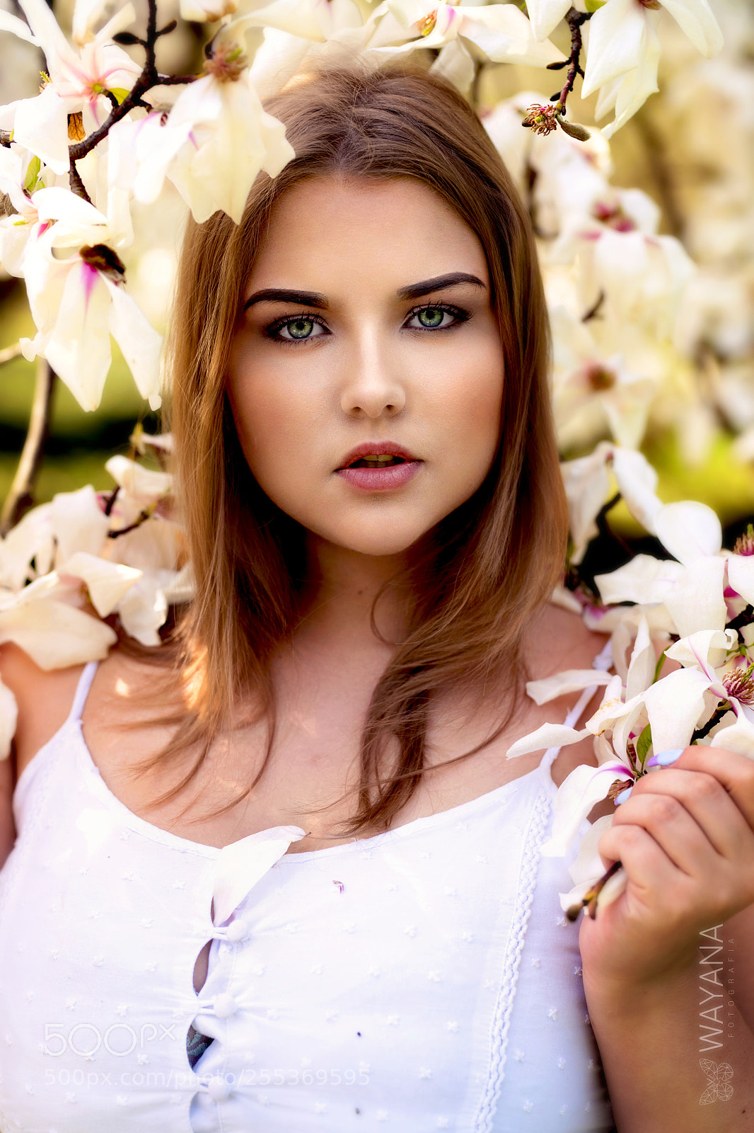 Nikon D850 sample photo. Pp photography