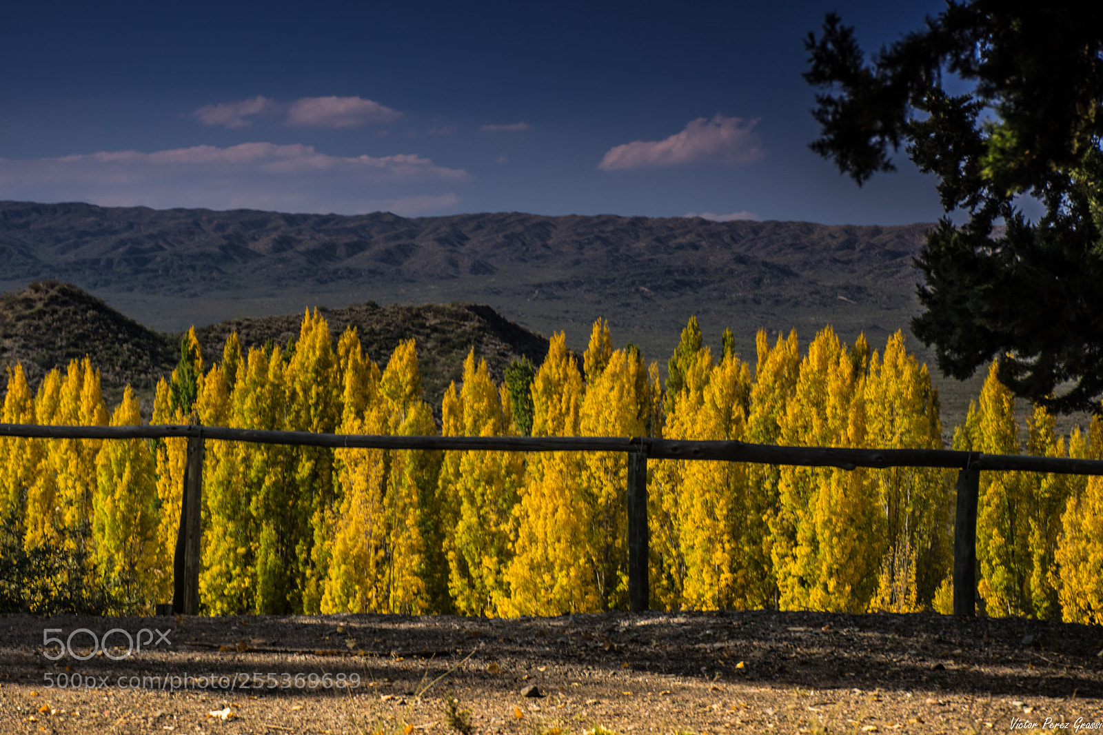 Nikon D7200 sample photo. Foto photography