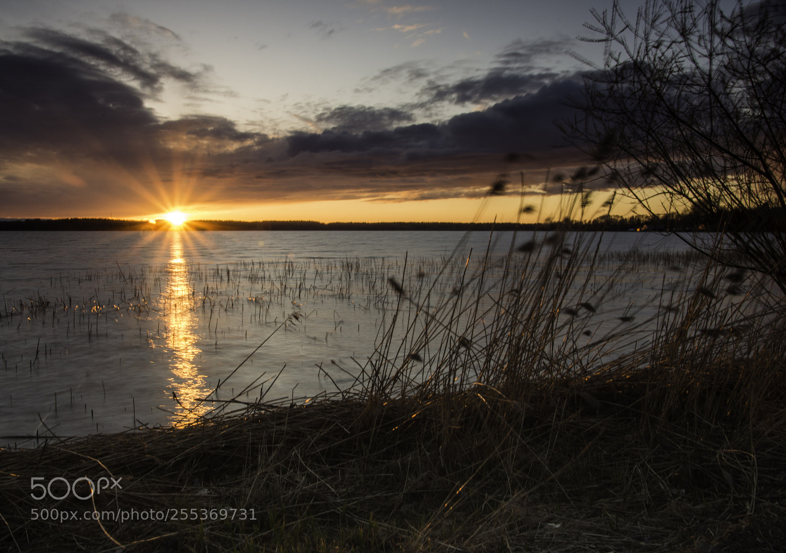 Nikon D7200 sample photo. Sunset on the lake. photography