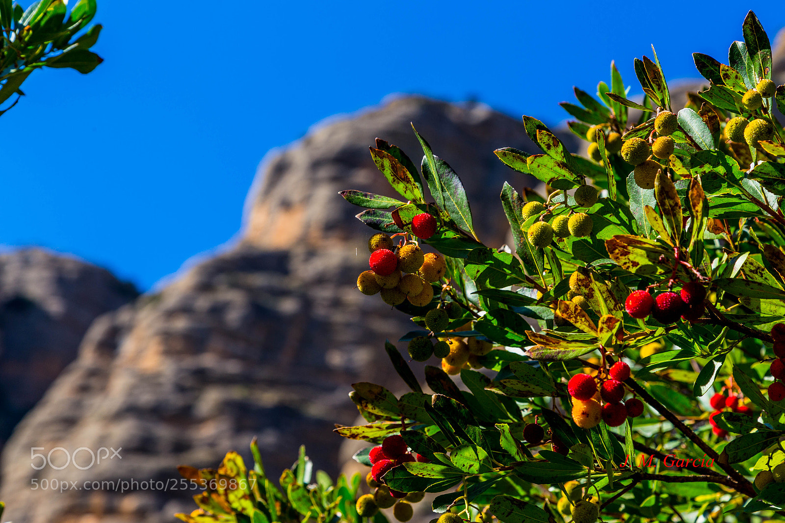 Canon EOS 6D sample photo. Img photography