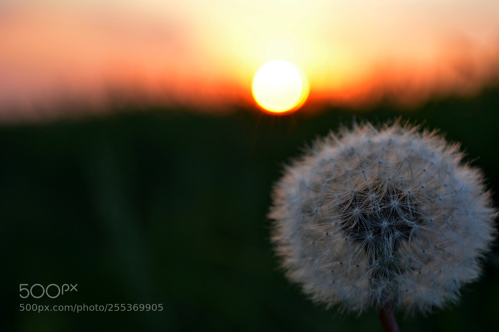 Nikon D5200 sample photo. Sunset today photography