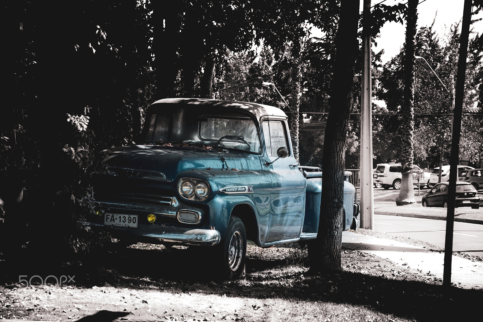 Nikon D7500 sample photo. Cyan photography