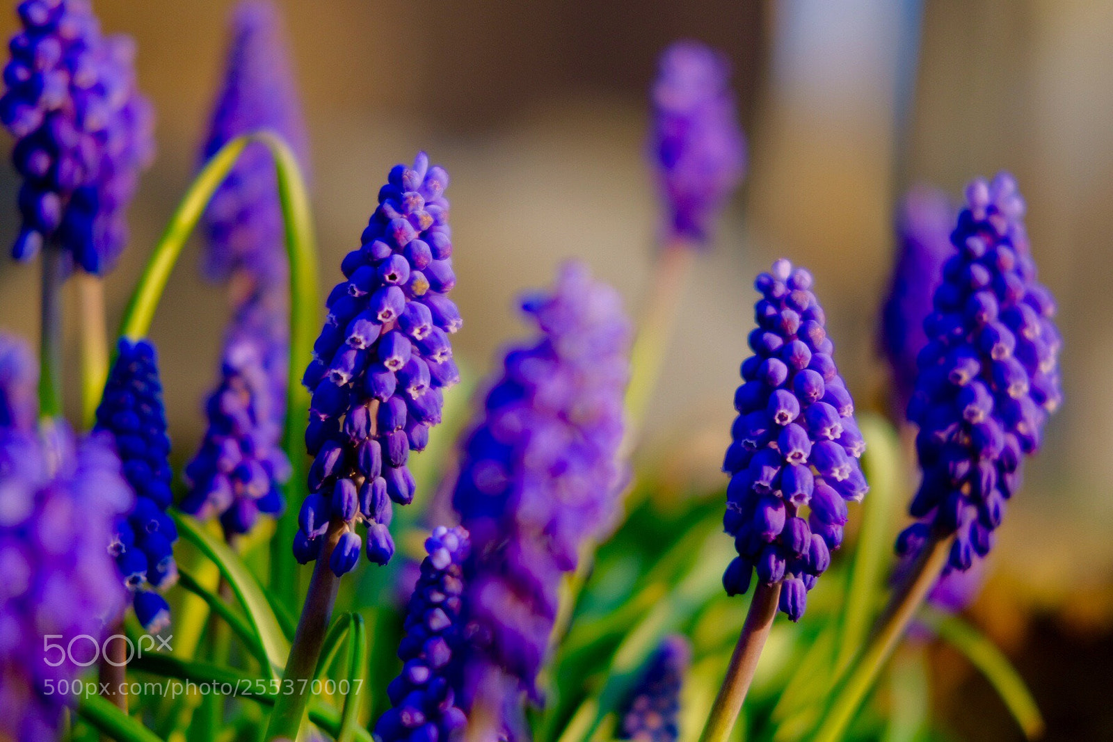 Fujifilm X-T20 sample photo. Untitled photography