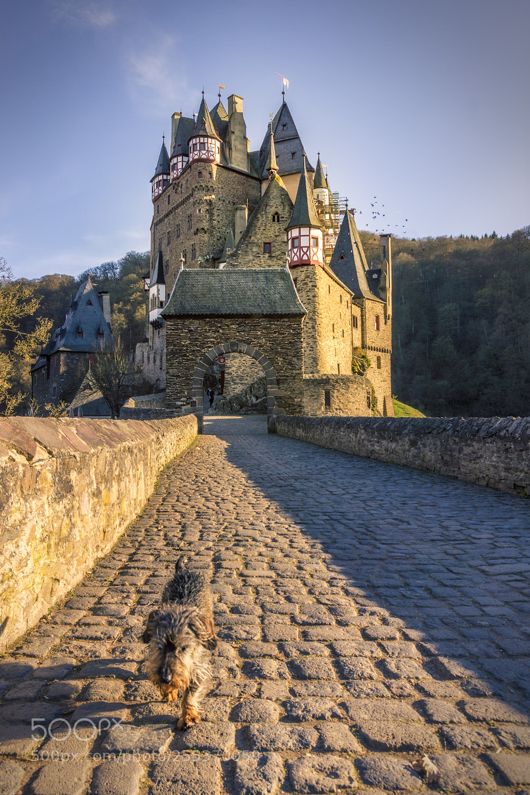Sony a6000 sample photo. Eltz castle photography
