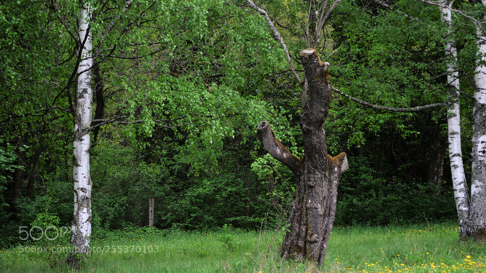 Nikon D3200 sample photo. Untitled photography